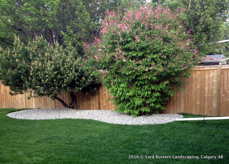 Landscaped Garden Beds and Edging by Yard Busters (Calgary AB)