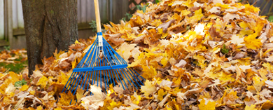 fall cleanup rake leaves blower bagging Yard Busters Calgary