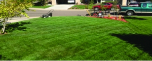 A photo showing a sample of our Calgary lawn mowing and the change of mowing direction.