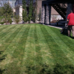 Yard Busters Landscaping - Final Lawn Mowing