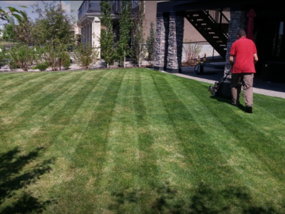 Yard Busters Landscaping - Final Lawn Mowing