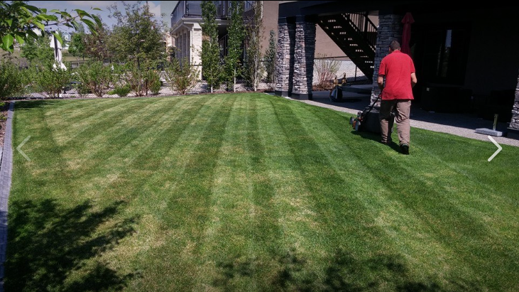 Yard Busters Landscaping - Final Lawn Mowing