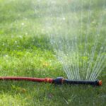 SOD after-care guide in Calgary