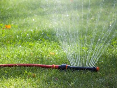 SOD after-care guide in Calgary