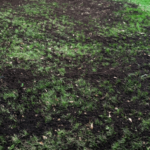 Yard Busters Landscaping - Top Dressing Calgary