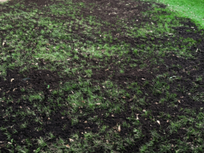 Yard Busters Landscaping - Top Dressing Calgary