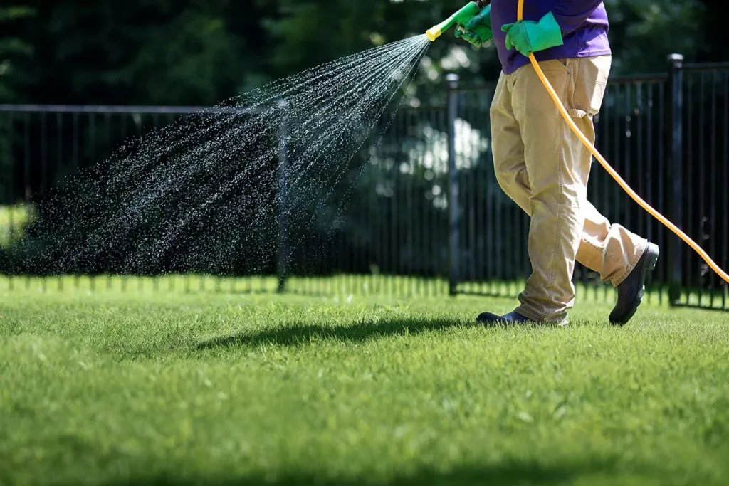Summer Lawn Care in Calgary