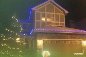 Blue and White LED Christmas Light Installation