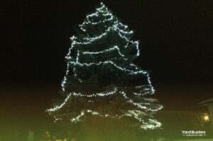 Outdoor Evergreen Tree Christmas Light Installation