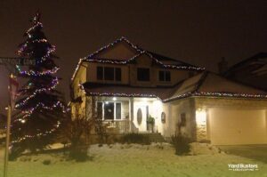 Purple and White Residential Christmas Light Display