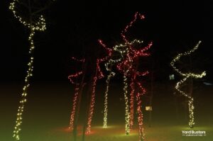Deciduous Tree Trunk Wrap Christmas Light Display