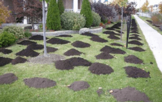 Calgary lawn care example of top dressing.