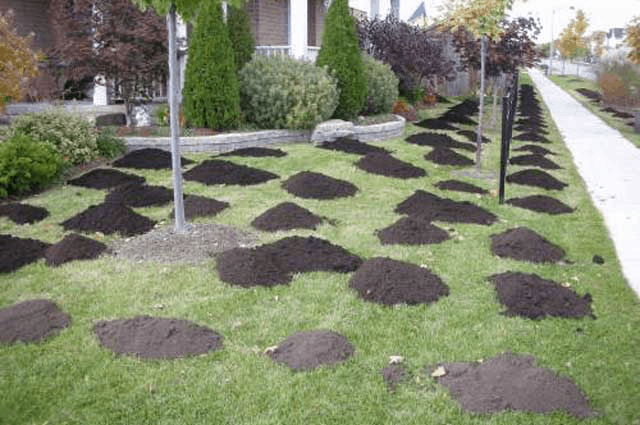 Calgary Top Dressing Service Yard Busters Landscaping